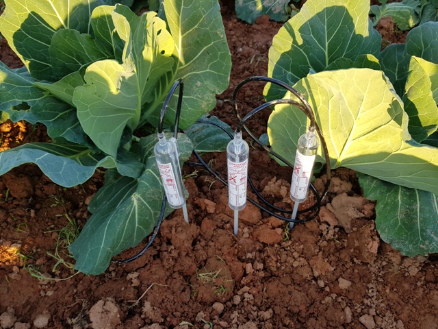 Sensor Irrigas Básico