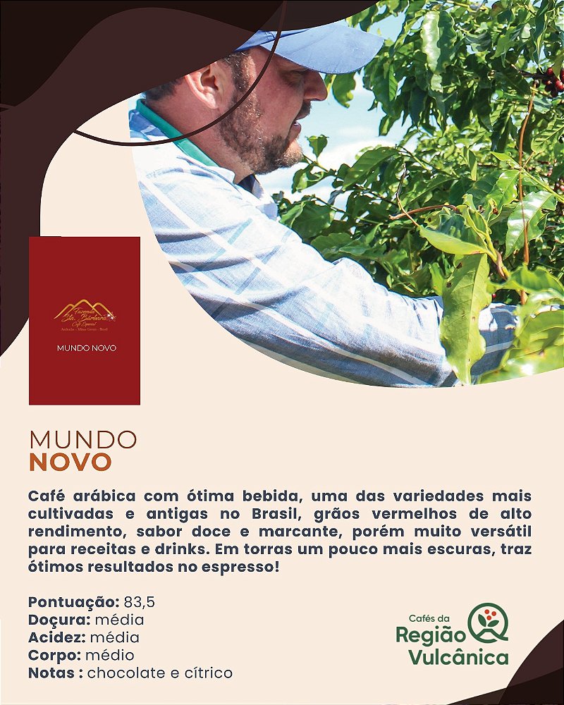 Café Especial Fazenda Sta Bárbara - Mundo Novo