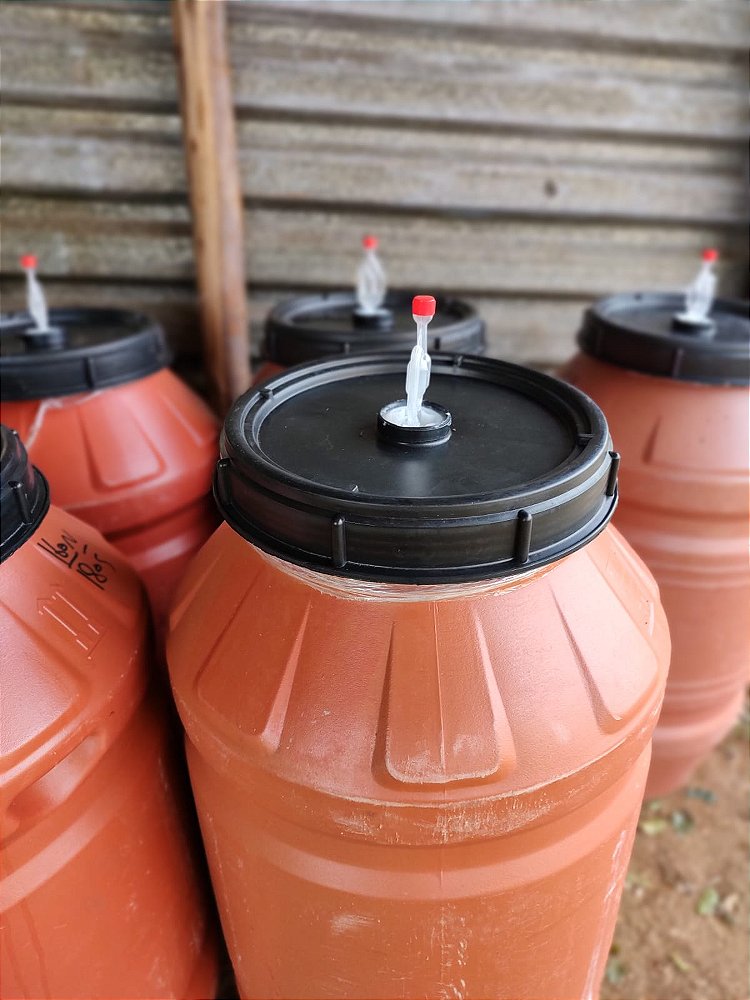 Café Especial Fazenda Sta Bárbara - Microlote Fermentação Controlada