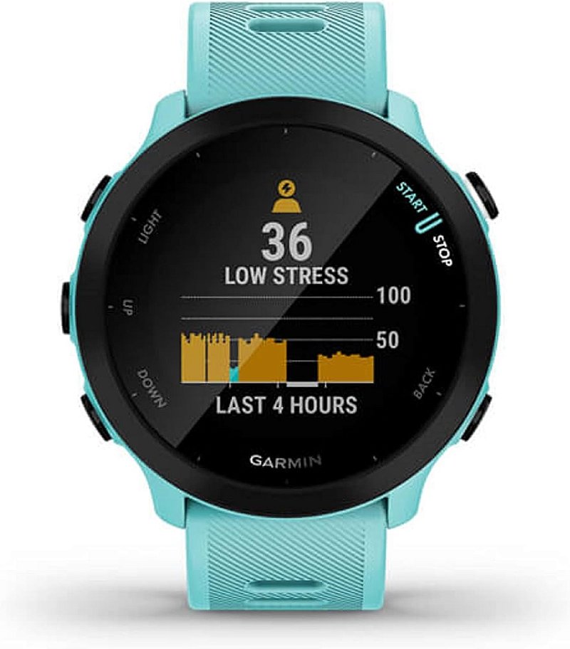 Relogio Garmin Forerunner 55 Acqua