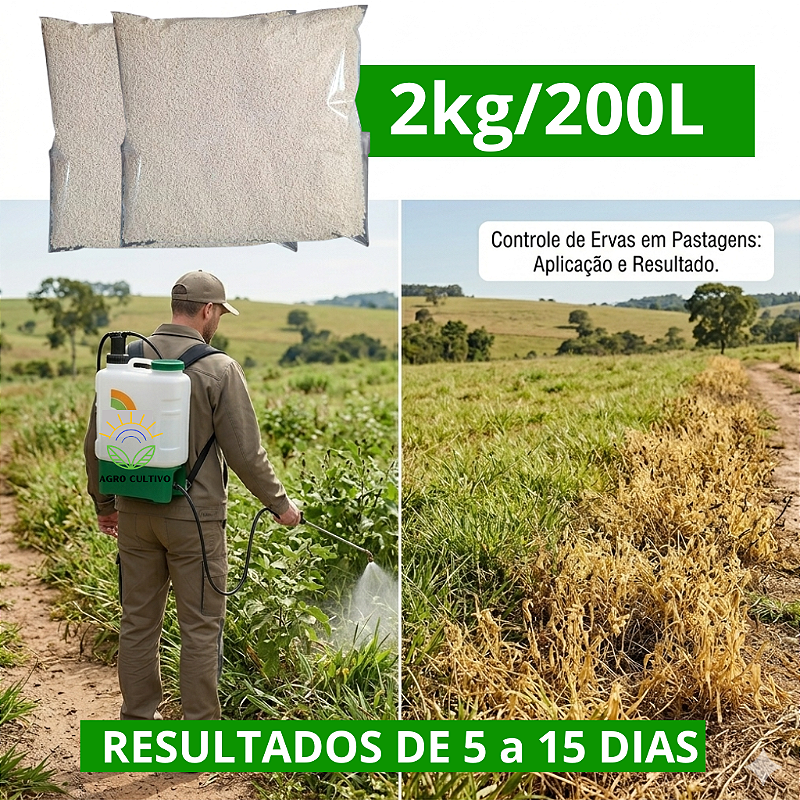 Herbicida Mata Mato Randap Roundup Ultra WG Granulado 2kg - Monsanto