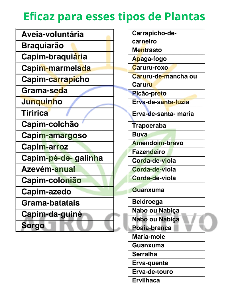 Herbicida Mata Mato Randap Roundup Ultra WG Granulado (CX) 20kg - Monsanto