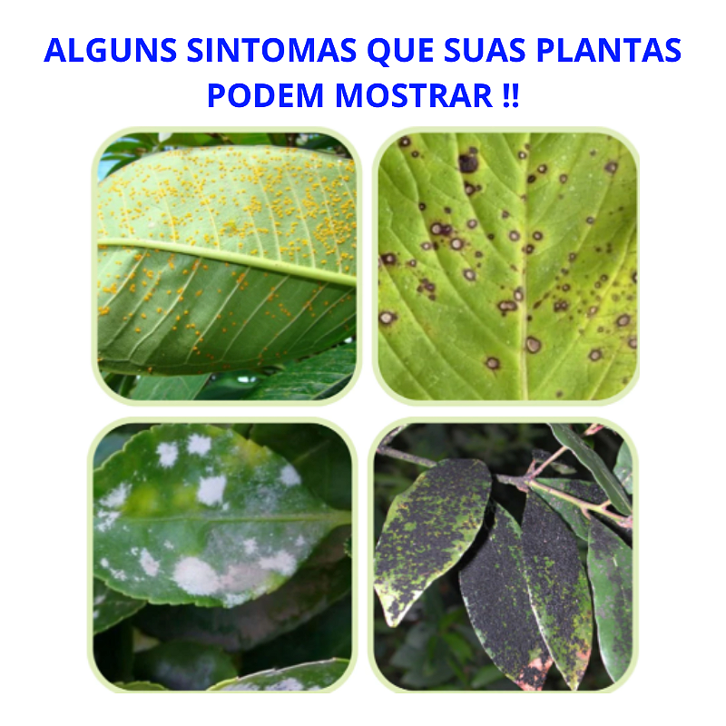 Fungicida Recop Albaugh Original Oxicloreto de Cobre - 250gr