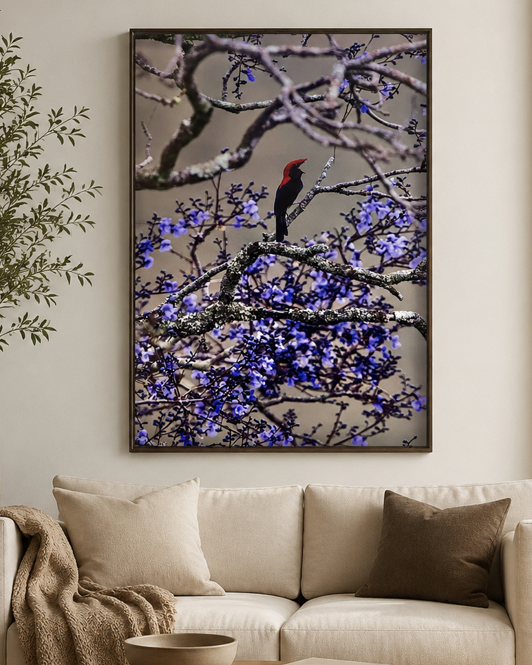 Quadro Fine Art Soldadinho - 90 x 60 cm
