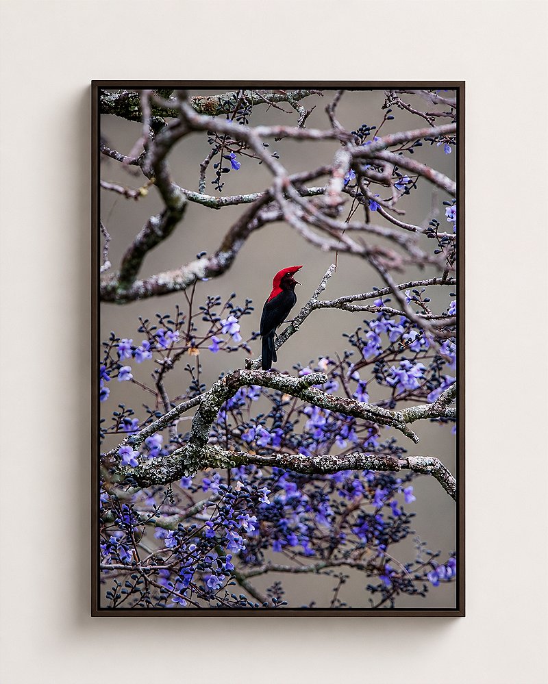 Quadro Fine Art Soldadinho - 90 x 60 cm