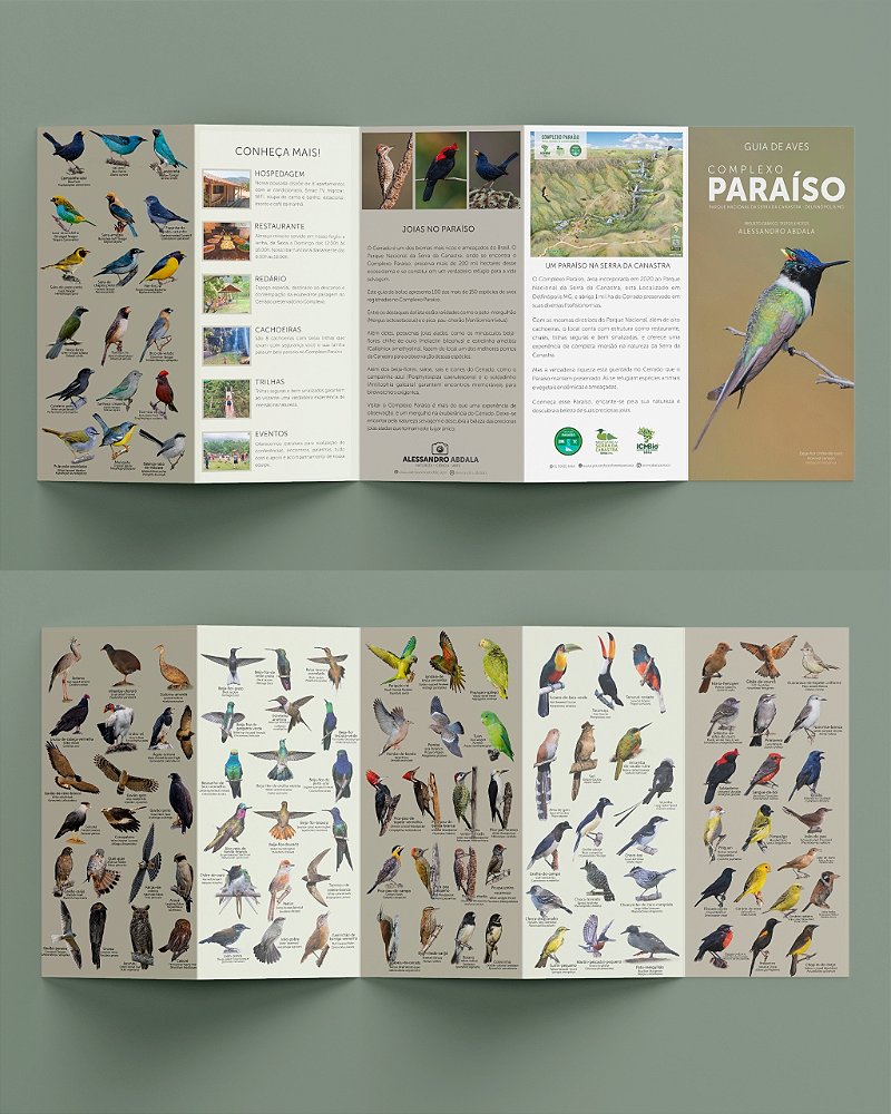 Guia de Aves do Complexo Paraíso