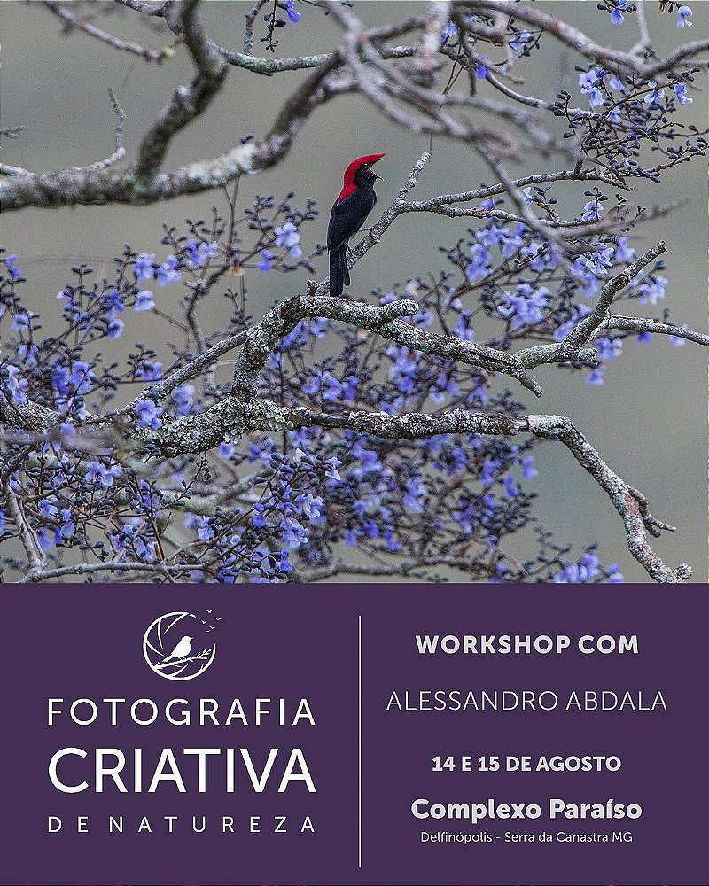 Workshop Fotografia Criativa de Natureza - com Alessandro Abdala