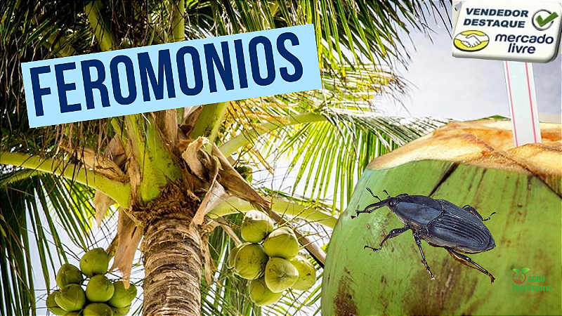 feromonio Rinconforol para Armadilhas Pet broca dos coqueiros