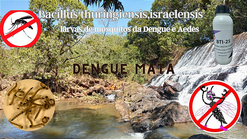 Produto Biologico para combater os Borrachudos