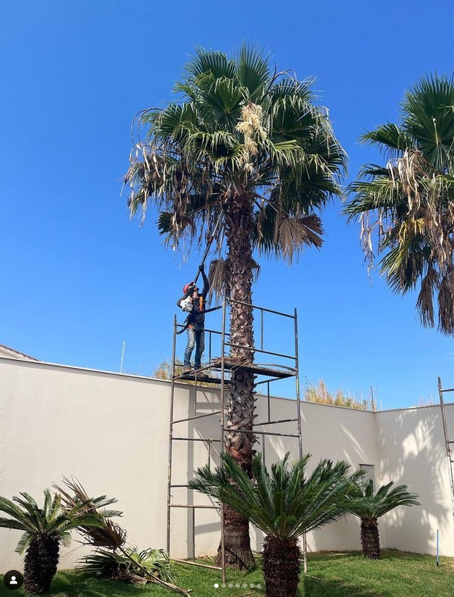 Produto para combater larvas e brocas bicudos em viveiros,jardins e jardinagem.