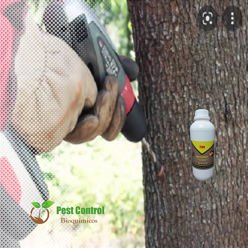 Produto para combater larvas e brocas bicudos em viveiros,jardins e jardinagem.