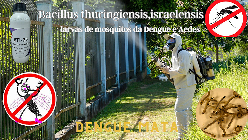 BTI combate mosquitos pernilongos aedes