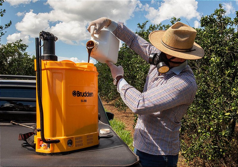 Moscas Das Frutas Atrativo Para Captura E Monitoramento