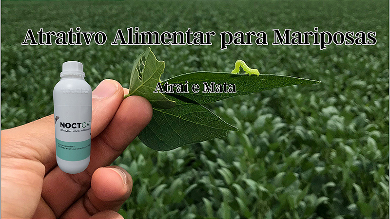 Noctovi Atrativo Alimentar Mariposas Do Soja E Outros