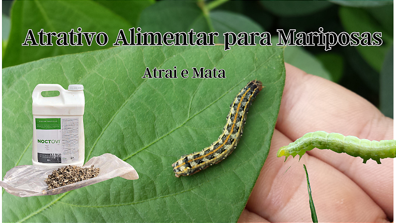 Mariposas Noctovi Atrativo Alimentar Mariposas Do Soja E Outros 5lt