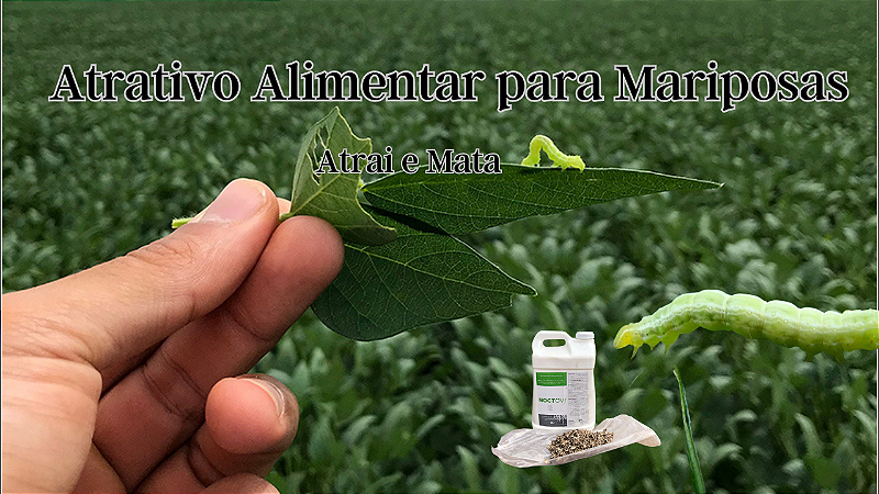 Mariposas Noctovi Atrativo Alimentar Mariposas Do Soja E Outros 5lt