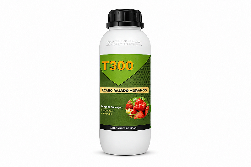Proteção biológica para o manejo do ácaro-rajado e ácaro-do-enfezamento na cultura do morango