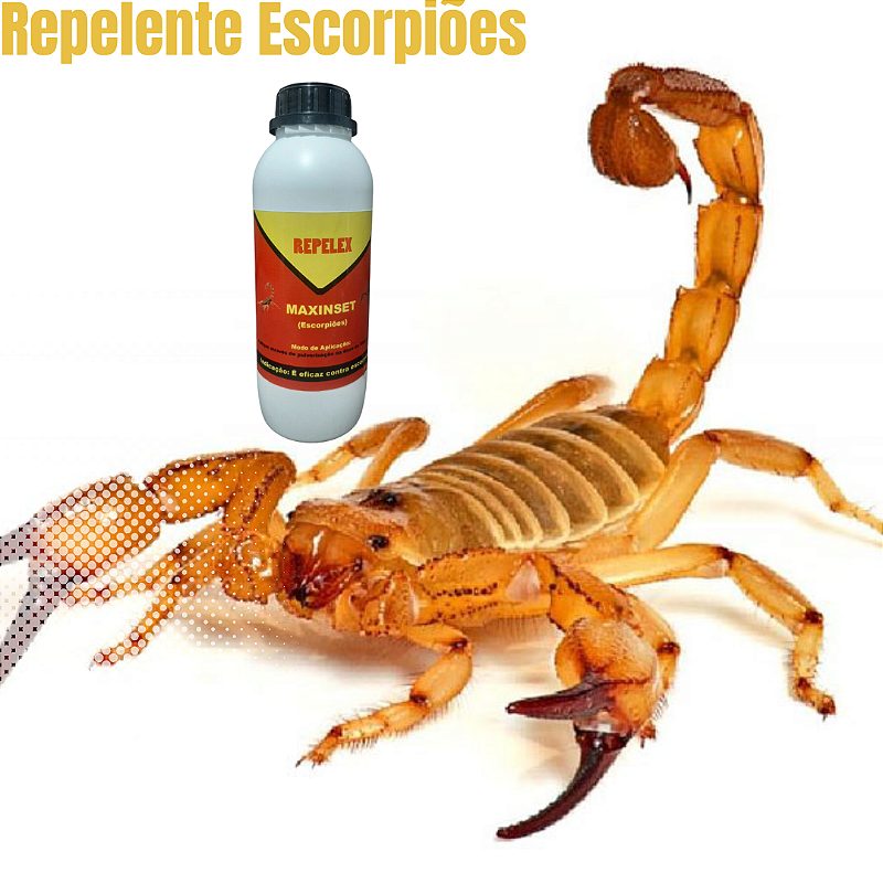 Repelex Escorpiões – Produto para Controle de Escorpiões
