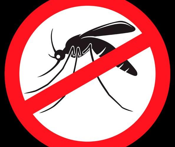 BTI-25 – Larvicida para Mosquitos, Dengue, Zika e Chikungunya