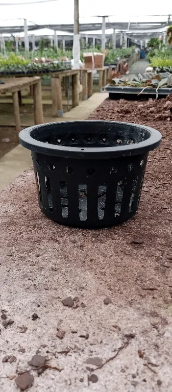 Vaso estiloso pote 15