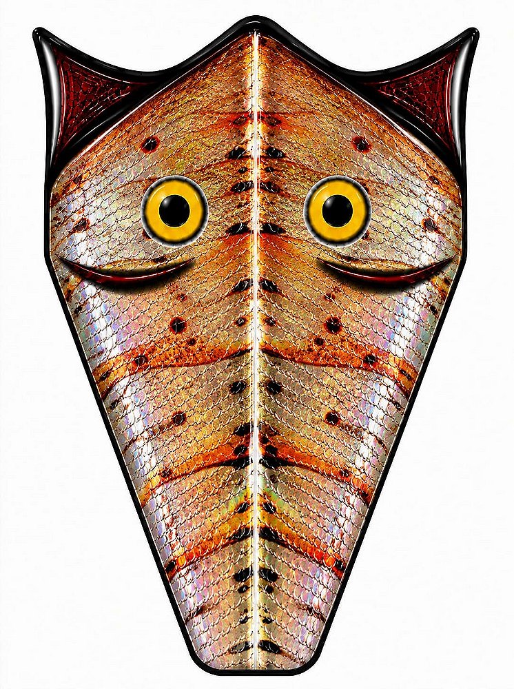 Ebook Gabarito de Moscas Pescart Poppers