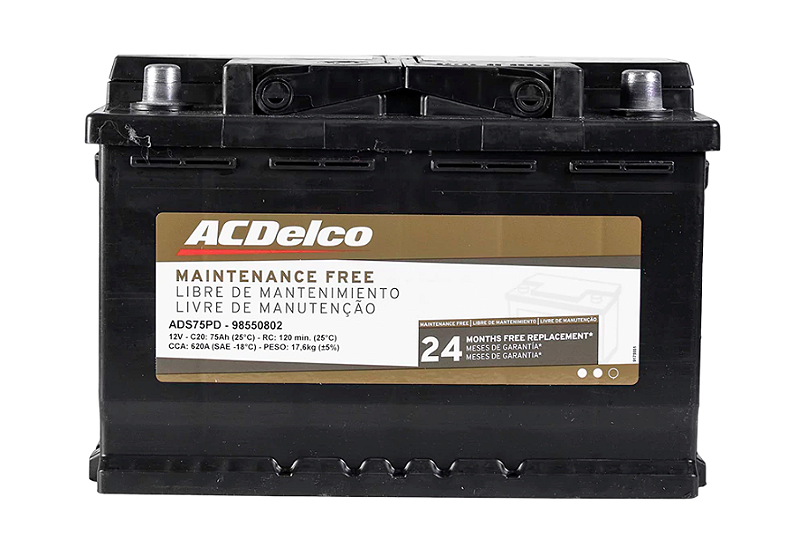 BATERIA ACDELCON 60 AMP