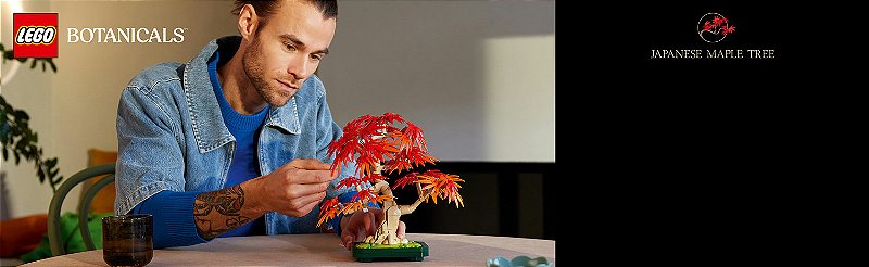 10348 Bonsai de Bordo-japonês Vermelho