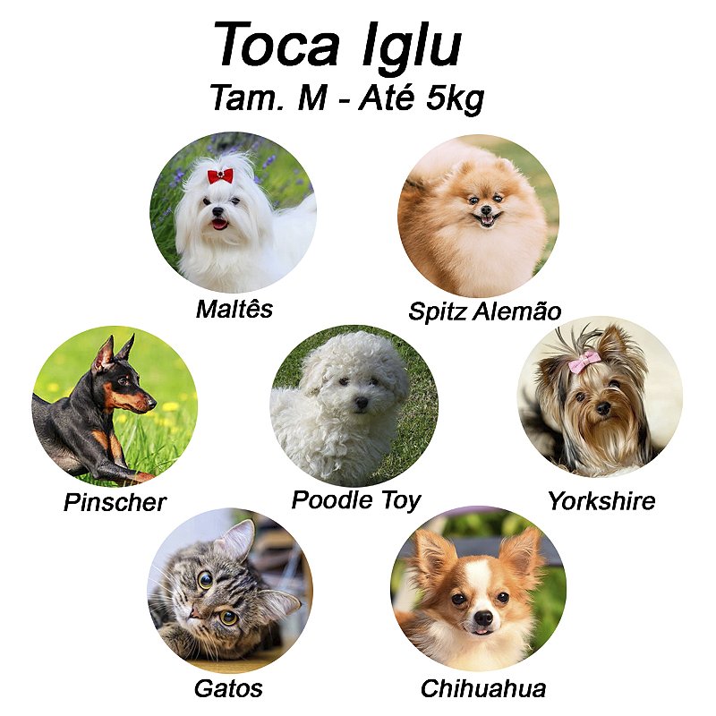 Cama Iglu e Toca Para Cachorro Luppet Luxo Preto Poa Tamanho:M