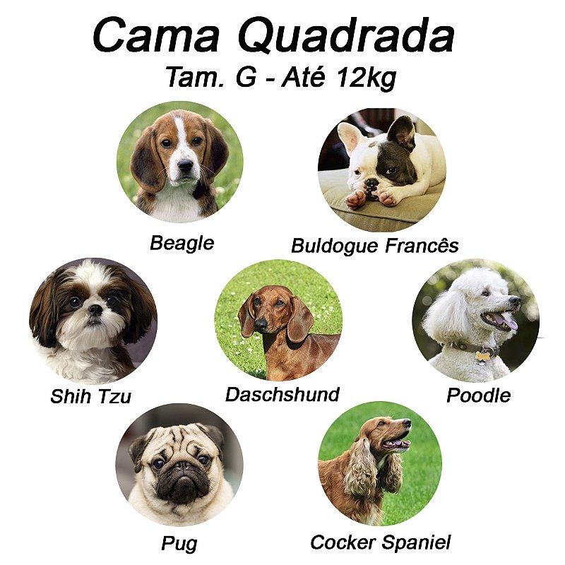 Cama Quadrada para Cachorro ou Gato Luppet Vermelho Joaninha
