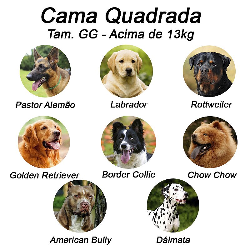 Cama Quadrada para Cachorro ou Gato Luppet Vermelho Joaninha