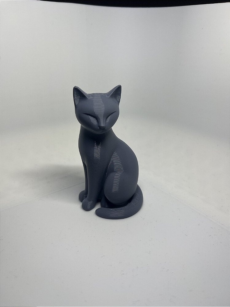 Estatua Gato Preto