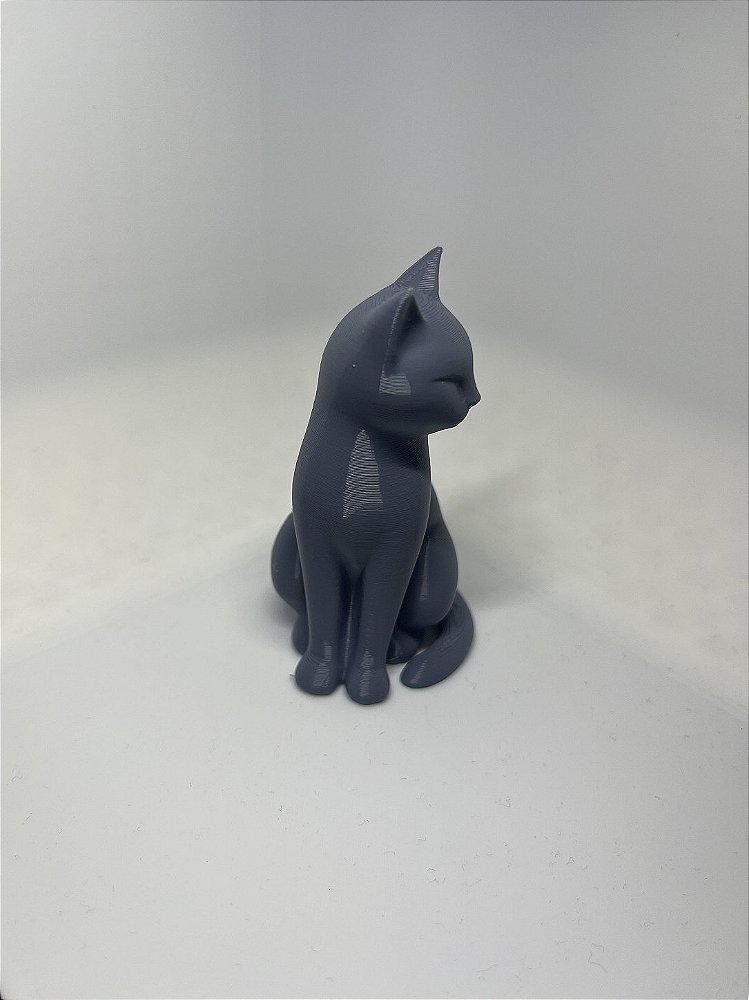 Estatua Gato Preto