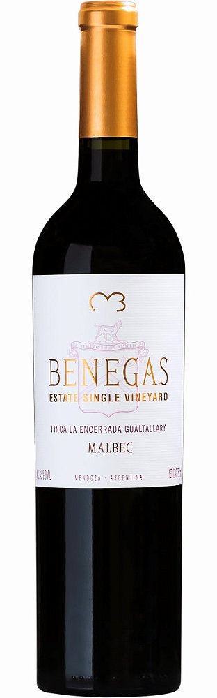 VAR BENEGAS SINGLE VINEYARD GUALTALLARY MALBEC TT750