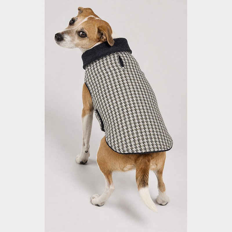 Capa para Cachorro Tweed com Fleece Inverno XGG Cães Grandes