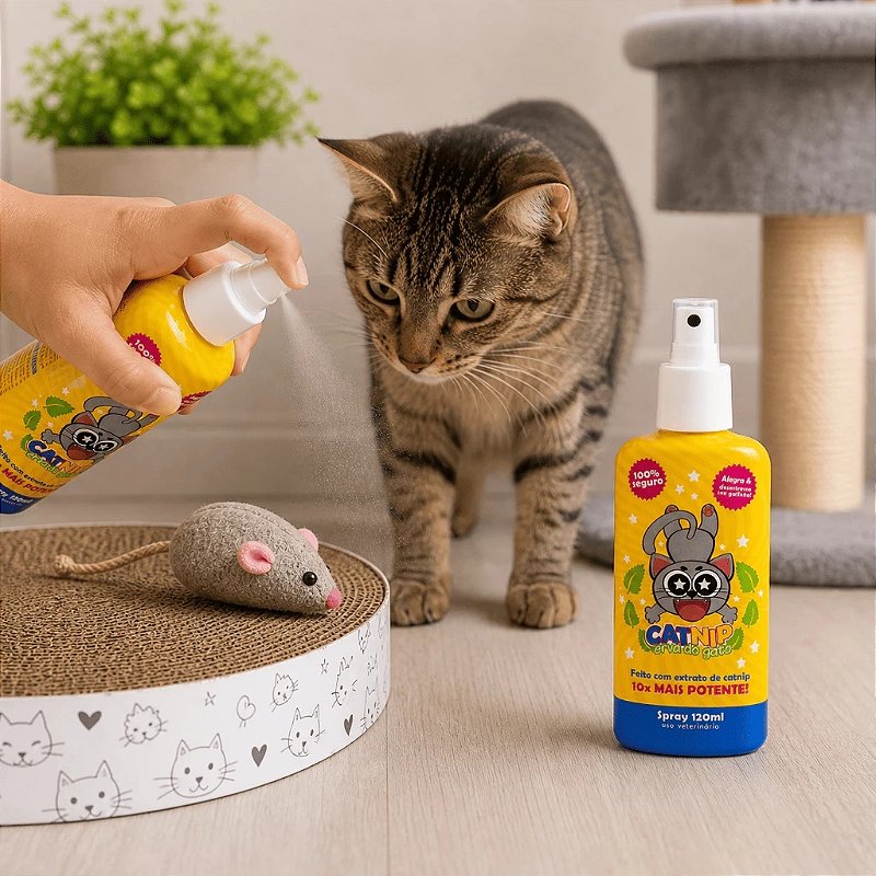 Kit Brinquedos para Gatos Catnip Varinha Ventosa + Spray CatMyPet
