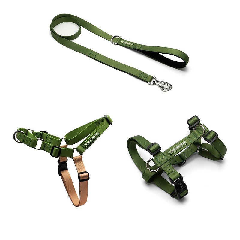 Kit Passeio Cachorreiros 3 Peças para Cachorro