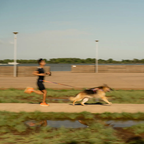 Guia Mãos Livres Cachorro Corrida Passeio 2m Cachorreiros