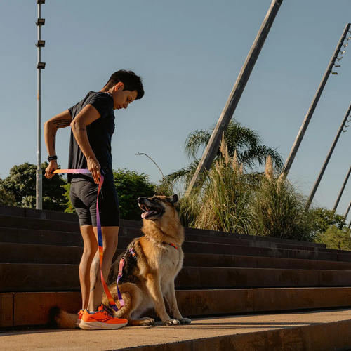 Guia Mãos Livres Cachorro Corrida Passeio 2m Cachorreiros