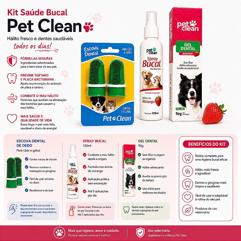 Kit Gel Dental Dedeira Spray - Morango