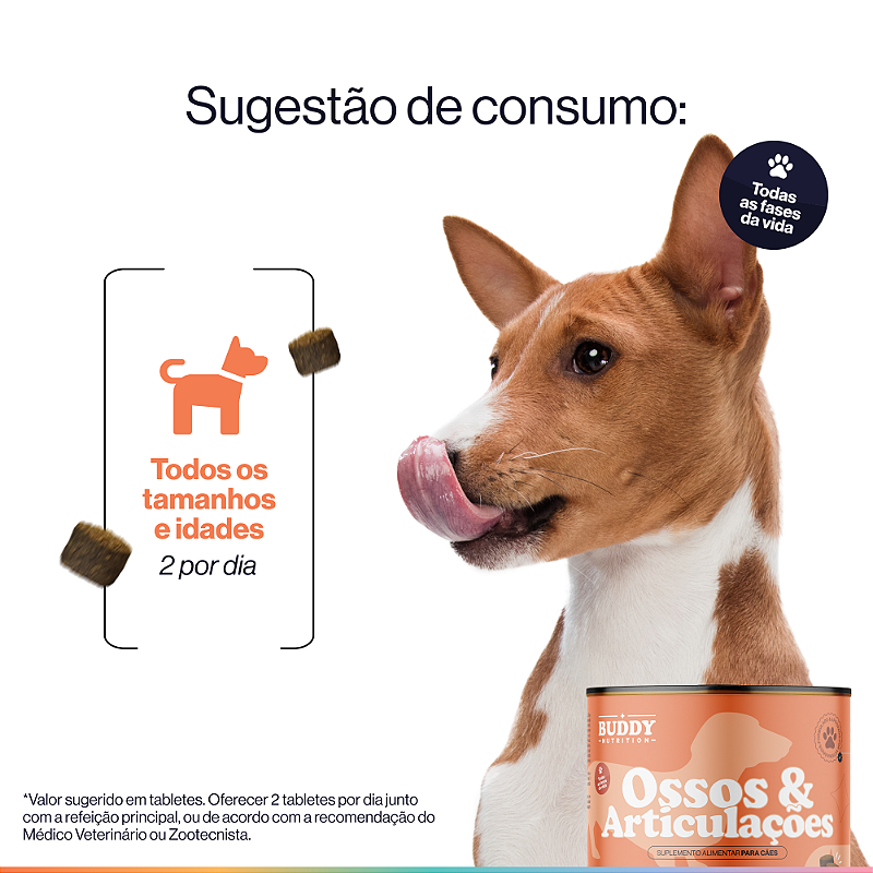 Ossos & Articulações Suplemento Alimentar Cães Buddy Nutrition