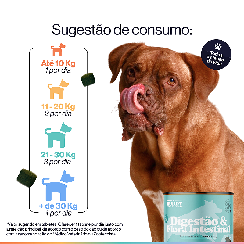 Kit Saúde Intestinal Cães Buddy Digestão & Flora + SOS Flora