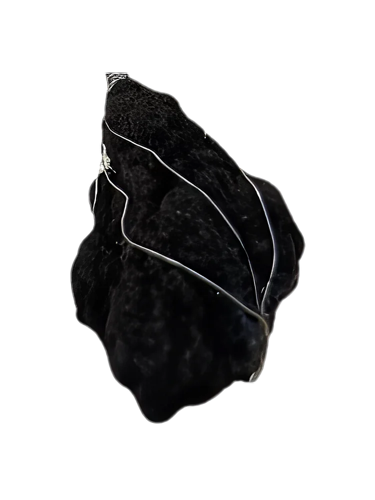 Betume Arenoso Único Aroma Petróleo Natural Pingente Alambrismo Aço Inóx Colar Cordão Emborrachado Aromaterapia