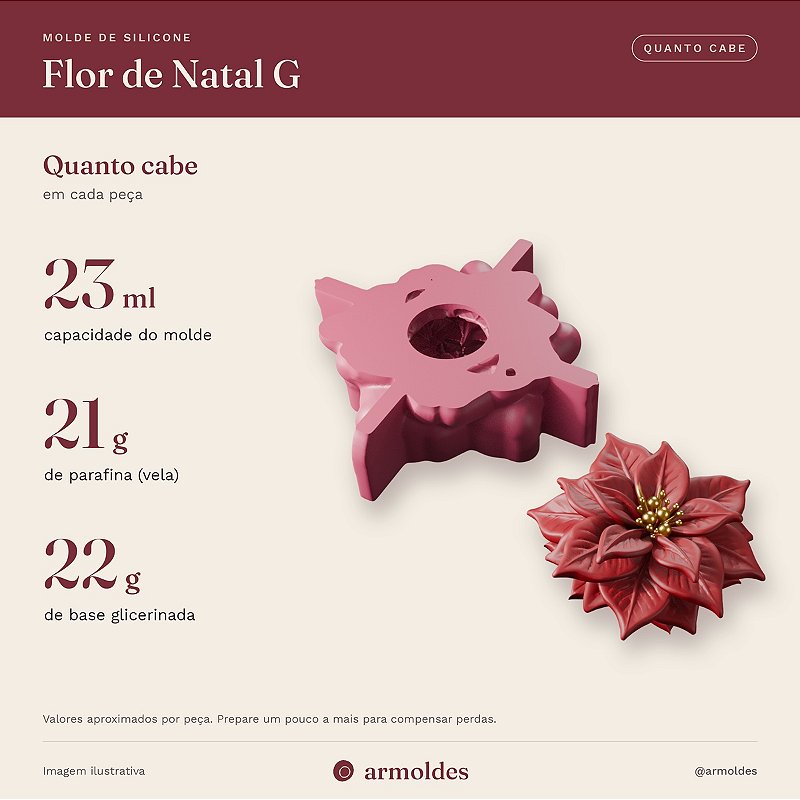 Molde de Silicone Flor de Natal G