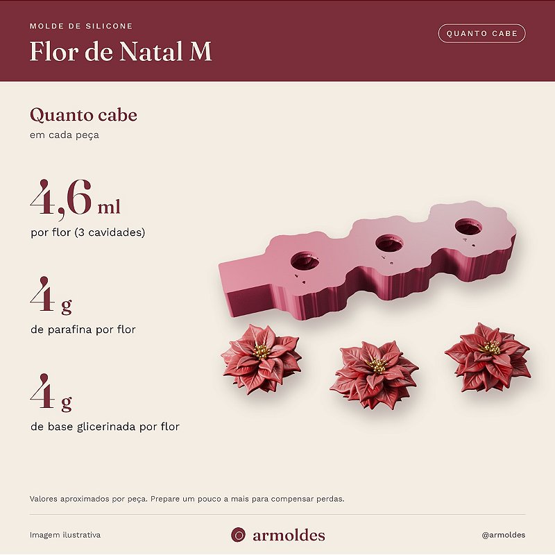 Molde de Silicone Flor de Natal M