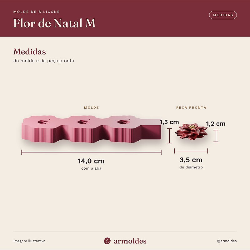 Molde de Silicone Flor de Natal M