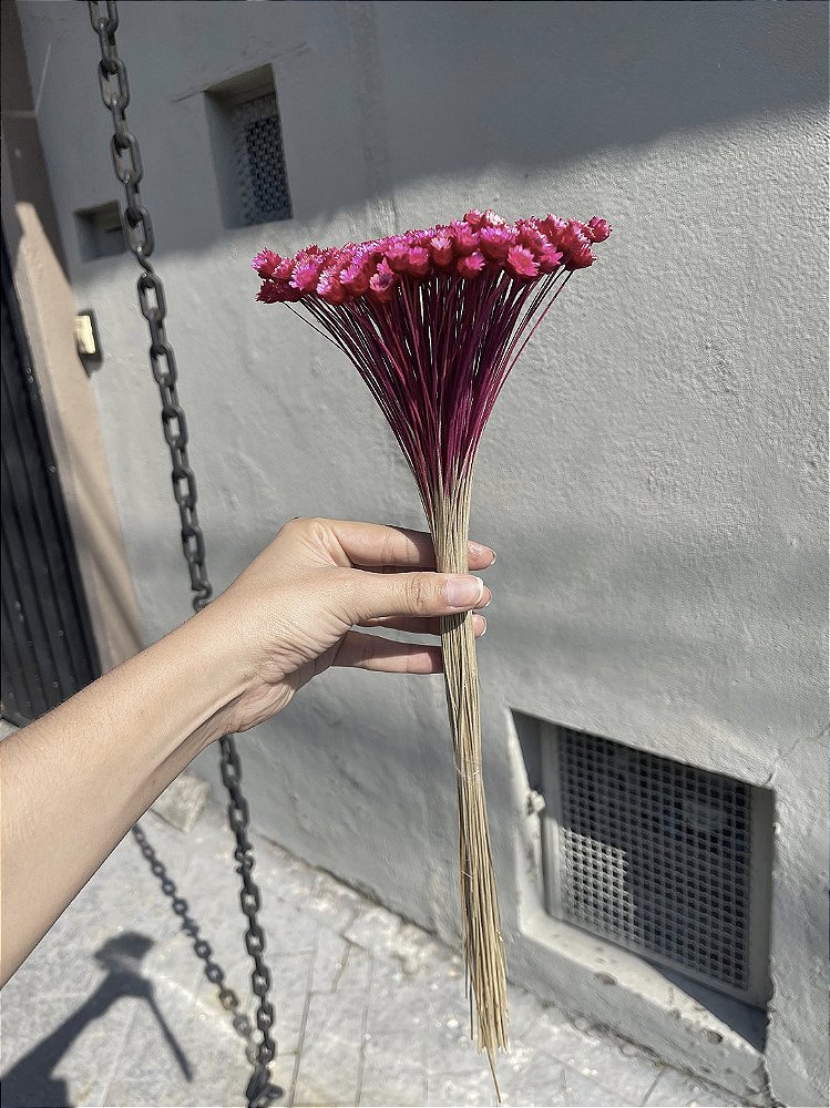 Sempre Viva Rosa-Pink Desidratada - 200 Unidades