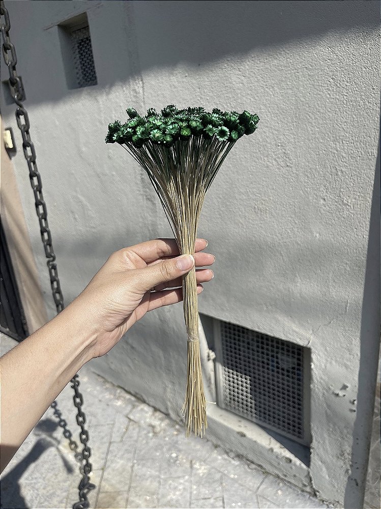 Sempre Viva Verde Desidratada - 200 Unidades