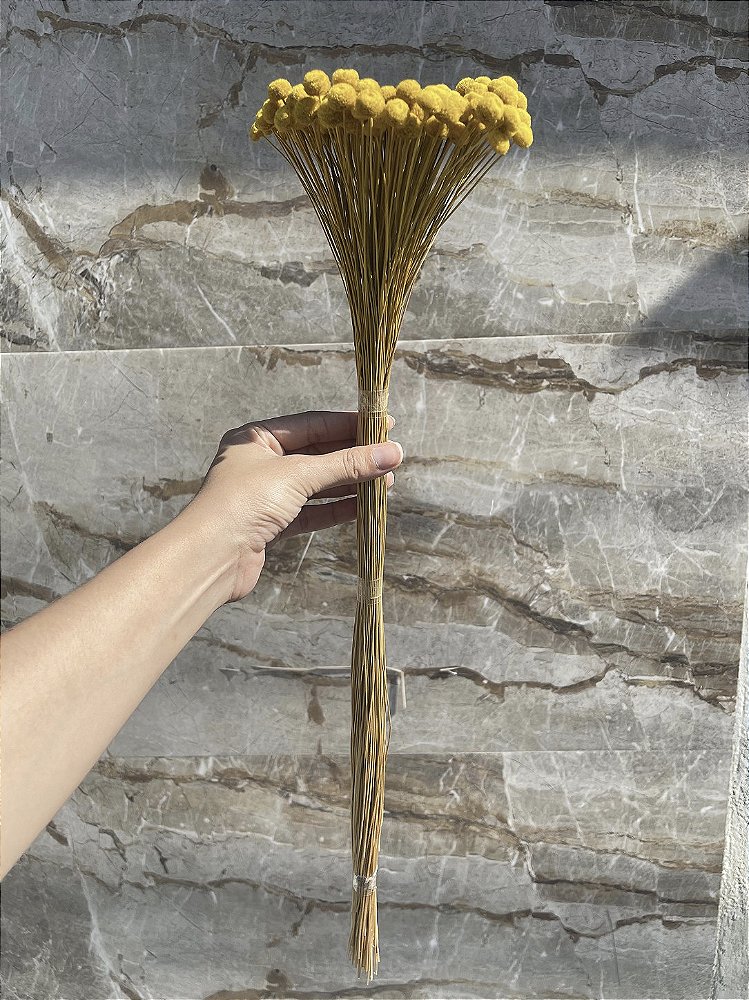 Botão Amarelo Desidratado - 200 Unidades
