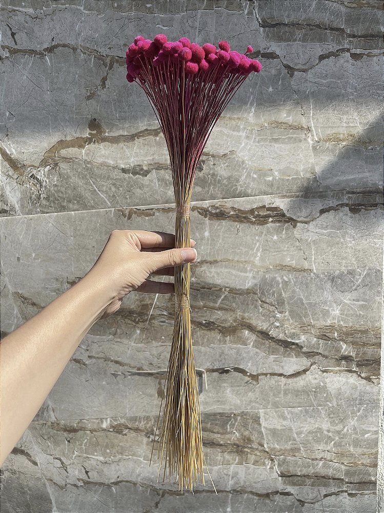 Botão Rosa-Pink Desidratado - 200 Unidades