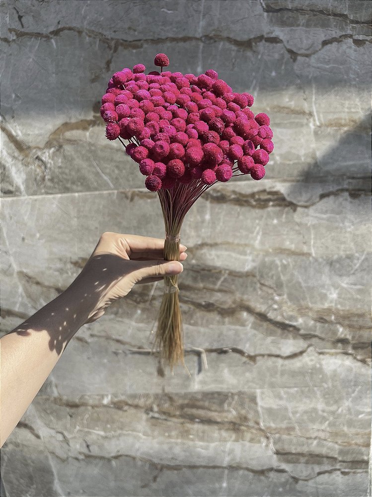 Botão Rosa-Pink Desidratado - 200 Unidades